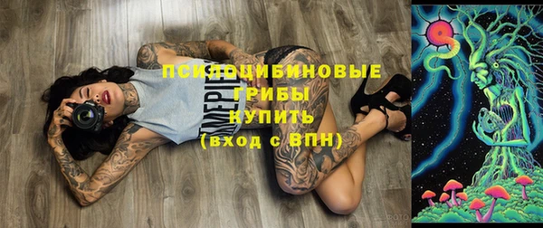 MESCALINE Аркадак