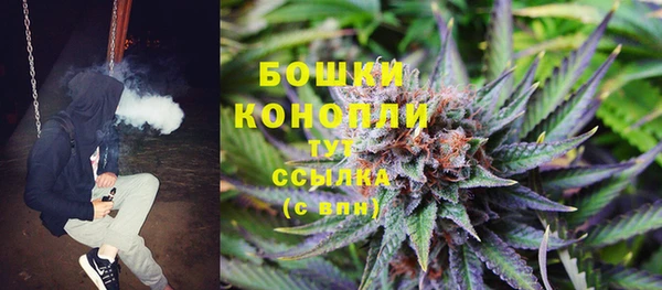PSILOCYBIN Армянск